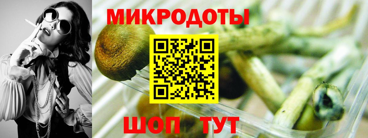 Галлюциногенные грибы Psilocybe Норильск